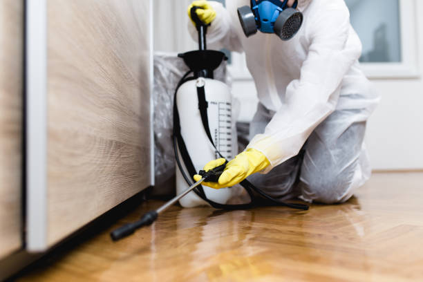 Best Affordable Pest Control Services  in Plummer, ID
