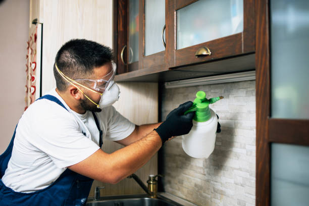 Best Flea Control Services  in Plummer, ID