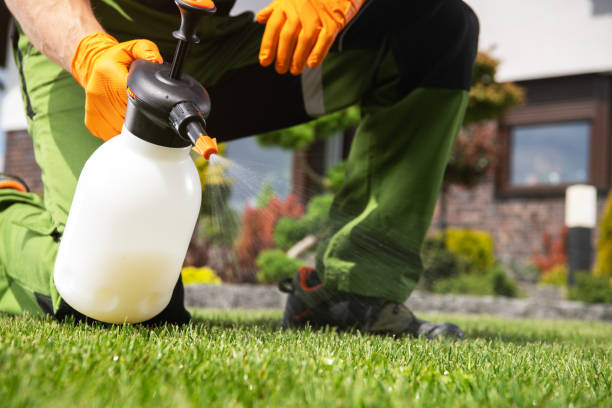 Best Commercial Pest Control Services  in Plummer, ID