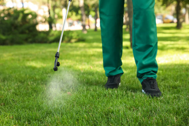 Best Pest Control Near Me  in Plummer, ID