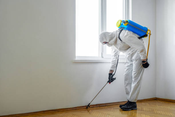 Best Emergency Pest Control  in Plummer, ID
