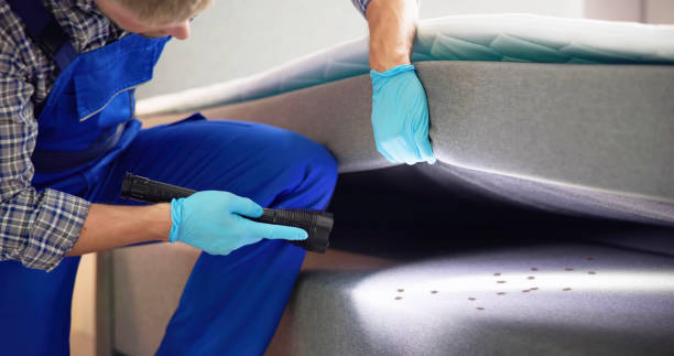 Reliable Plummer, ID Pest Control Solutions